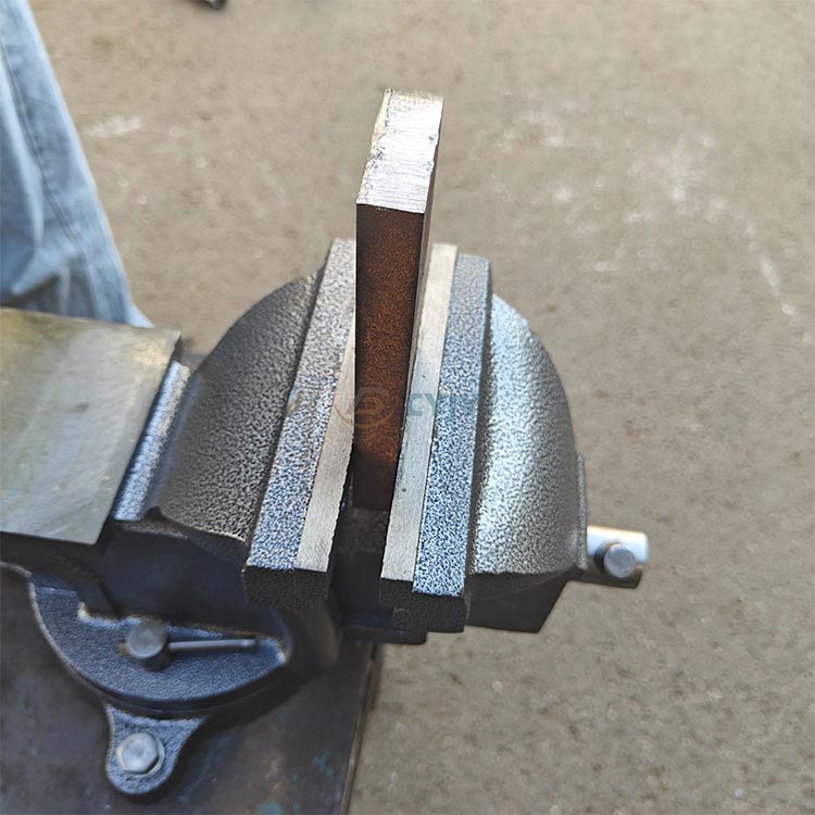 8-Inch Bench Vise