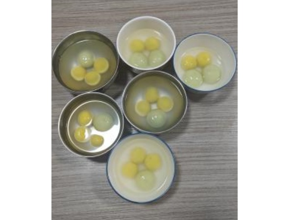 Celebrate the Lantern Festival and enjoy the full moon together